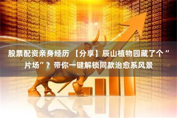 股票配资亲身经历 【分享】辰山植物园藏了个“片场”？带你一键解锁同款治愈系风景