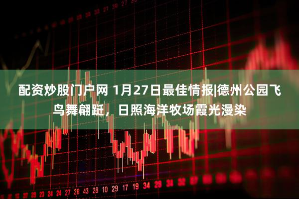 配资炒股门户网 1月27日最佳情报|德州公园飞鸟舞翩跹,日照海洋牧场霞光漫染
