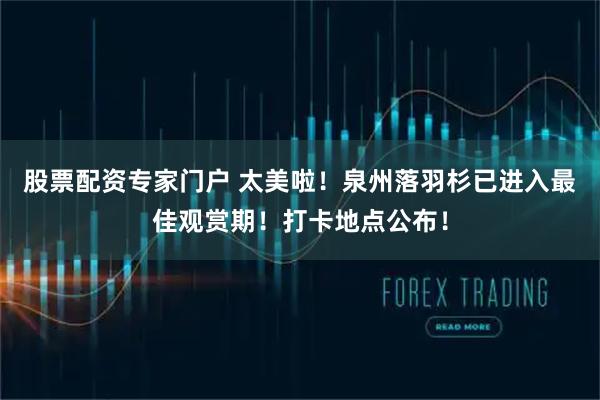 股票配资专家门户 太美啦！泉州落羽杉已进入最佳观赏期！打卡地点公布！