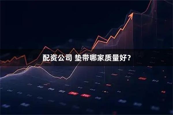 配资公司 垫带哪家质量好?
