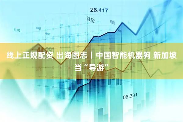 线上正规配资 出海图志丨中国智能机器狗 新加坡当“导游”